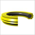 Piston Seals